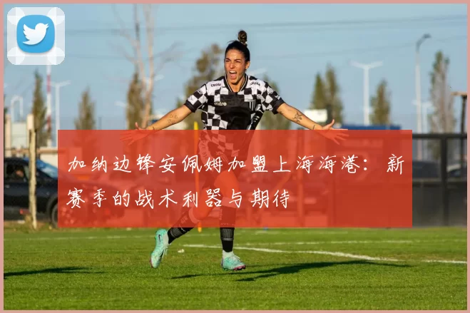 加纳边锋安佩姆加盟上海海港：新赛季的战术利器与期待
