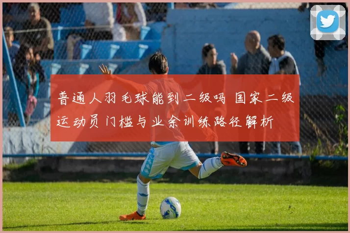 普通人羽毛球能到二级吗 国家二级运动员门槛与业余训练路径解析