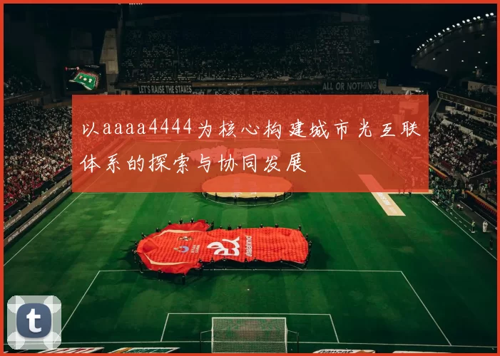 以aaaa4444为核心构建城市光互联体系的探索与协同发展