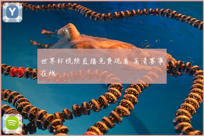 世界杯视频直播免费观看 高清赛事在线