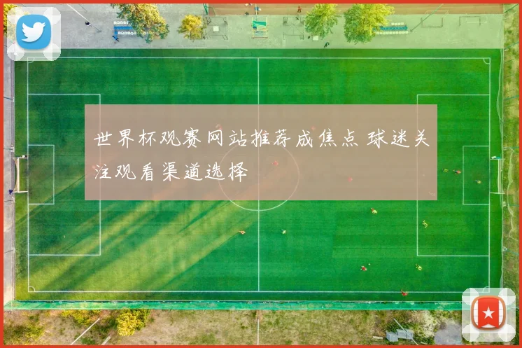 世界杯观赛网站推荐成焦点 球迷关注观看渠道选择
