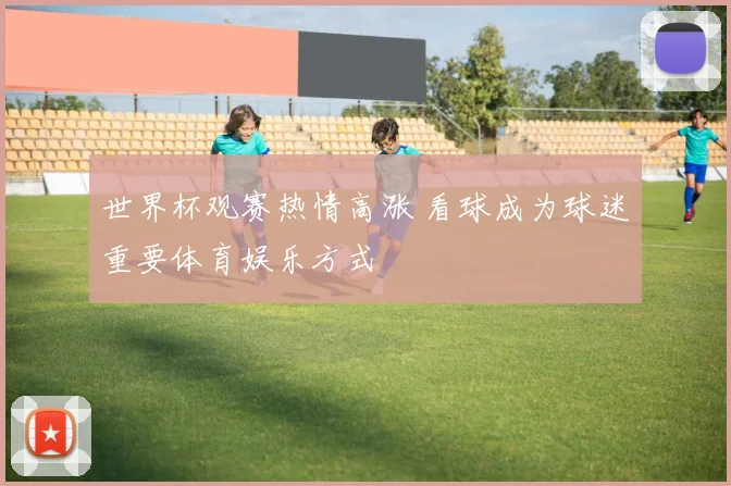 世界杯观赛热情高涨 看球成为球迷重要体育娱乐方式