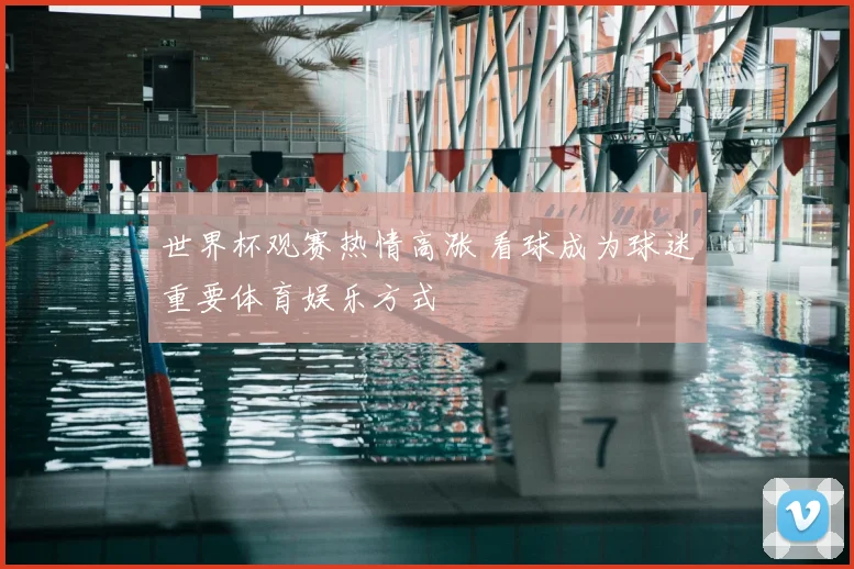世界杯观赛热情高涨 看球成为球迷重要体育娱乐方式