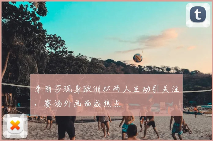 李丽莎现身欧洲杯两人互动引关注,赛场外画面成焦点