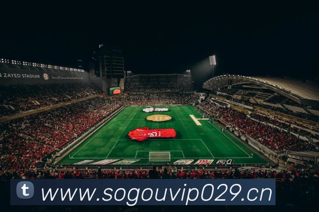 AG(中国九游会)官方网站服务体系